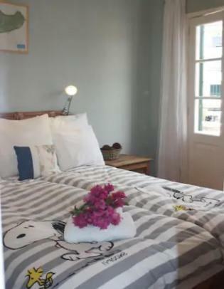 Apartmán Old Town Penthouse - Barreirinha Funchal  Exteriér fotografie